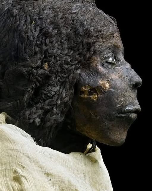Mummification in Ancient Egypt