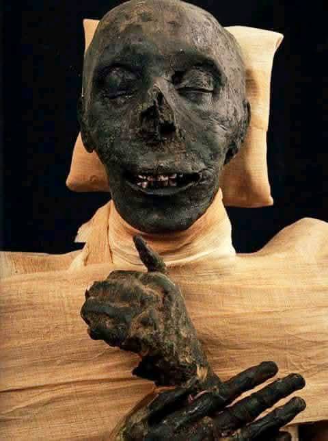 Mummy of Thutmose III, 18th Dynasty Pharaoh