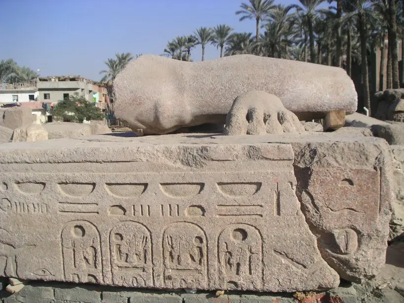Fallen limestone colossus of Ramesses II in Memphis Egypt